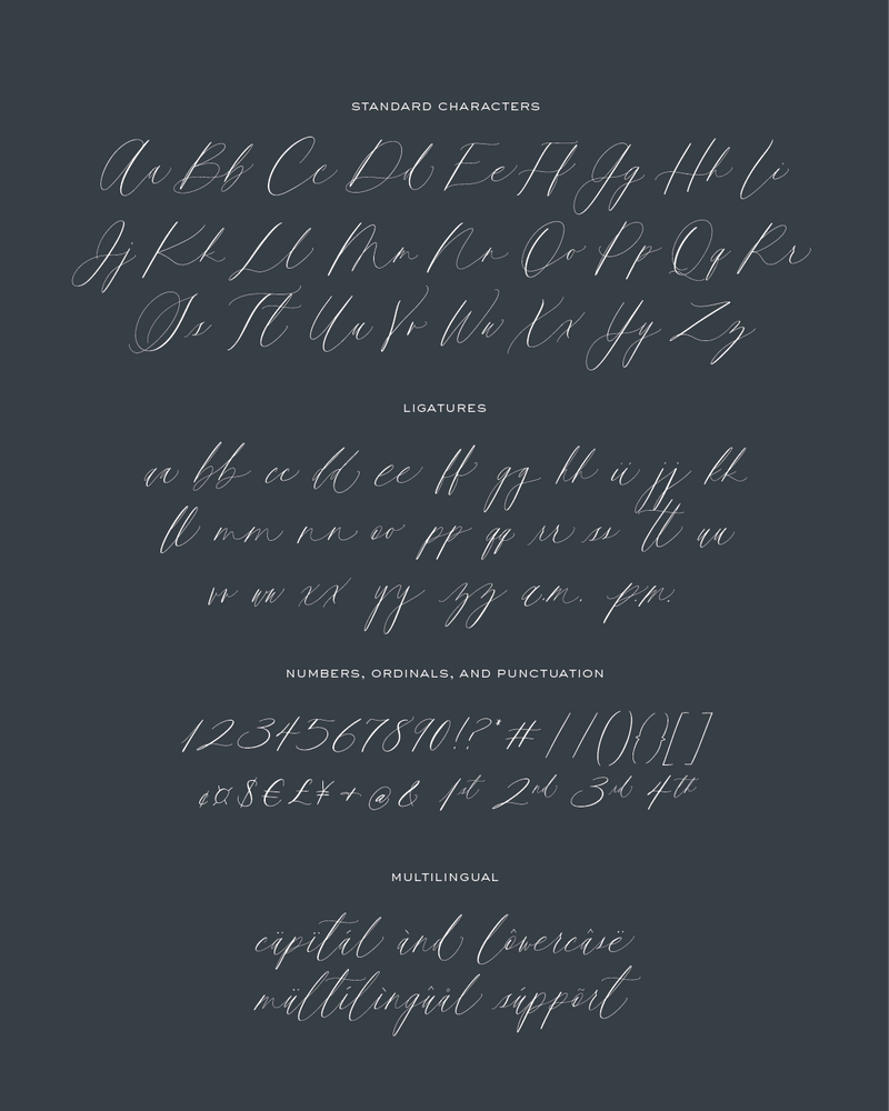 Loenna Pro - Script Typeface – Isidore & Augustine